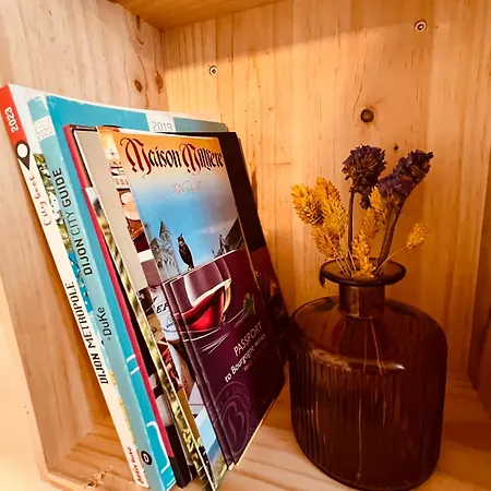 Le Vauban Des Ducs - Homillesime 아파트 디종