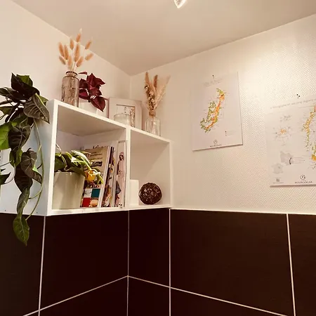 Le Vauban Des Ducs - Homillesime Apartmán Dijon