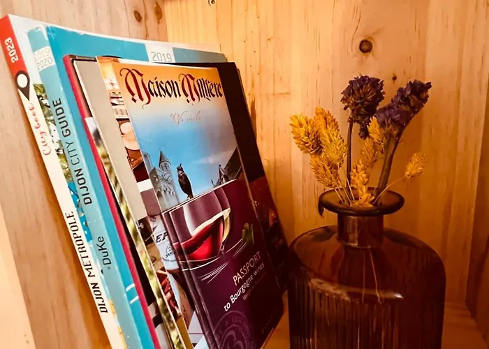 Le Vauban Des Ducs - Homillesime Apartment Dijon